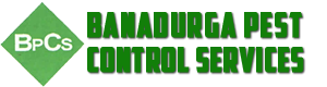 Banadurga Pest Control Services